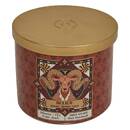 Scented Candle "Astro" Multiple Scents, Multicolor, 396g Aquarius