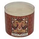 Scented Candle "Astro" Multiple Scents, Multicolor, 396g Aquarius