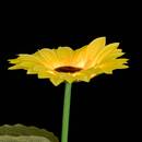 Outdoor Light "Flower" H.75 cm Model A
