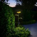 Outdoor Light "Flower" H.75 cm Model A
