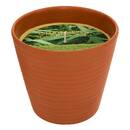 Scented Candle "Terry" Fruity Scent, Lemongrass, 200g Lemongrass