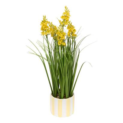 Plants, vases Artificial flowers