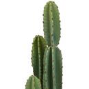 Artificial Potted Plant "Sien" H.132 cm Green
