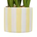 Artificial Plant "Daura" H.47 cm couleur_temp