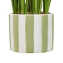 Artificial Plant "Daura" H.47 cm couleur_temp