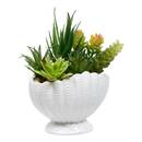 Artificial Plant "Ocea" H.20 cm White