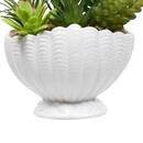 Artificial Plant "Ocea" H.20 cm White