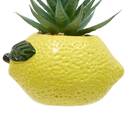 Artificial Plant "Fruity" H.11 cm Model A