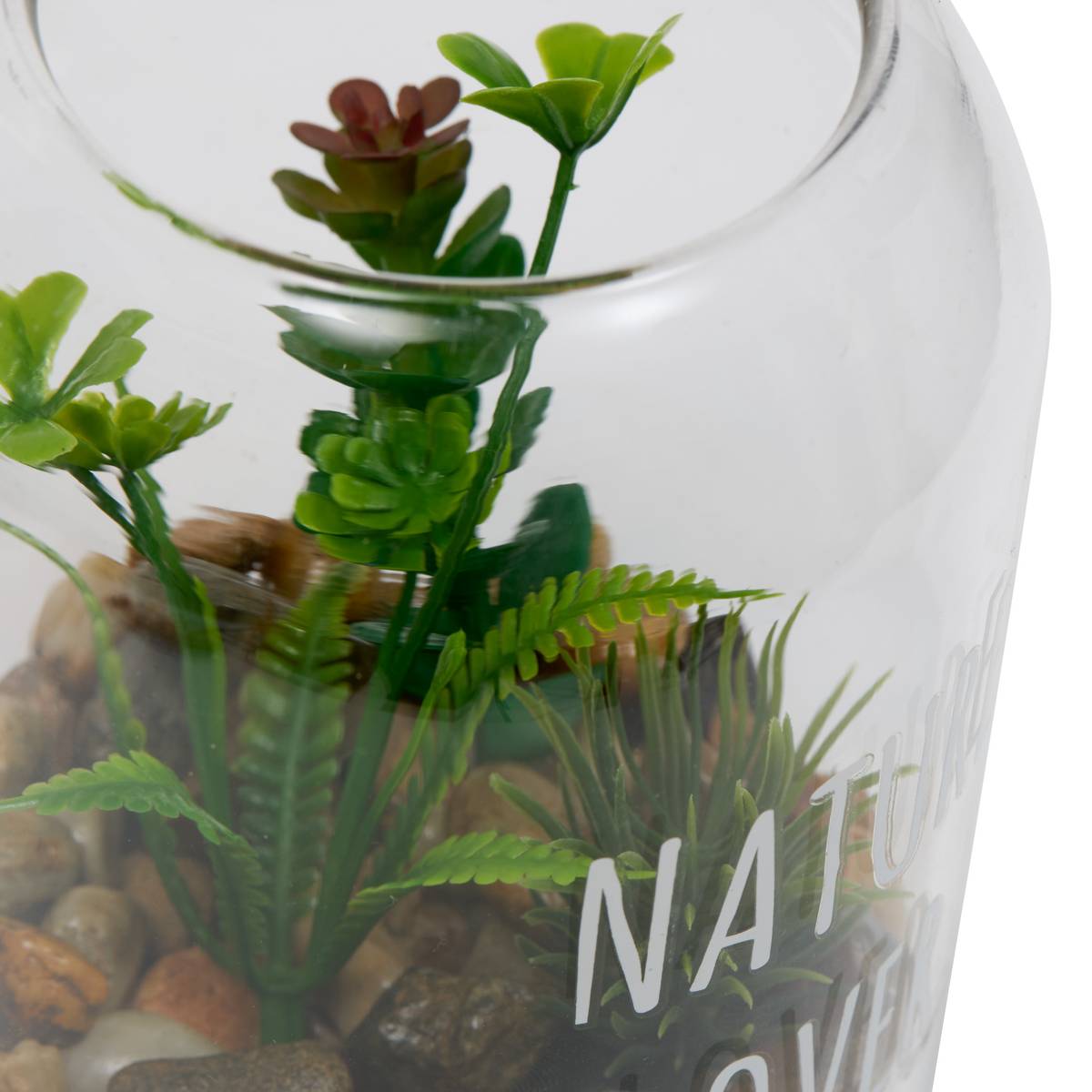 Terrarium "Ady" D.9 x H.12.5 cm couleur_temp