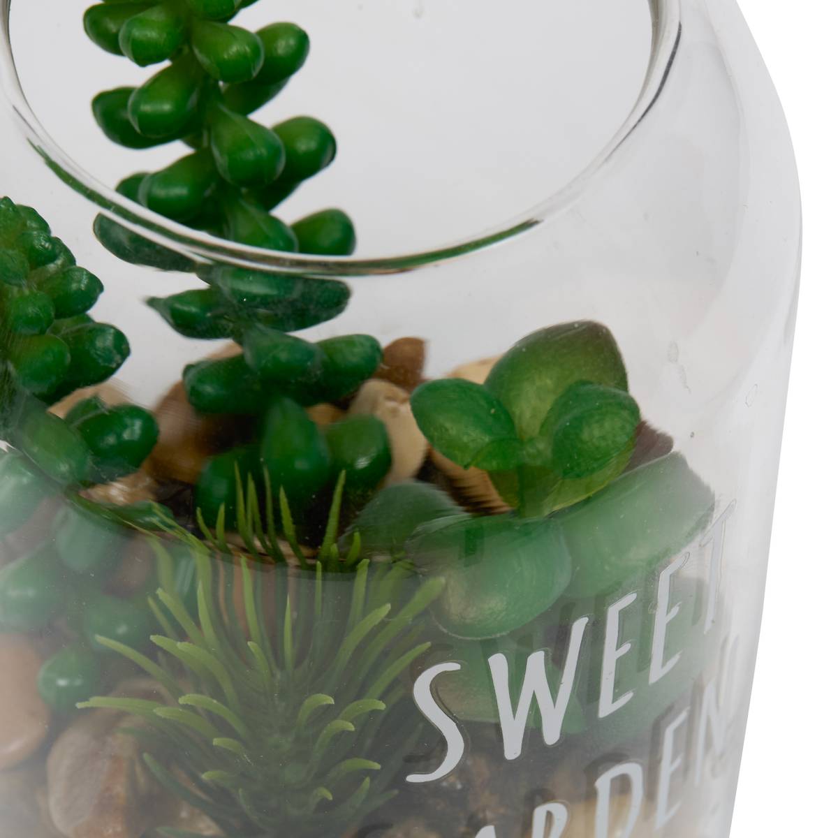 Terrarium "Ady" D.9 x H.12.5 cm couleur_temp