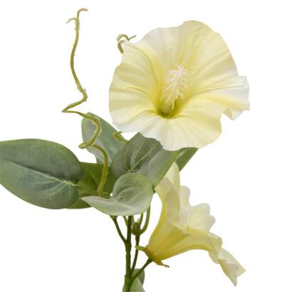 Plants, vases Artificial flowers