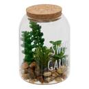 Terrarium "Ady" D.9 x H.12.5 cm couleur_temp