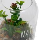 Terrarium "Ady" D.9 x H.12.5 cm couleur_temp