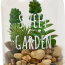 Terrarium "Ady" D.9 x H.12.5 cm couleur_temp