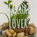 Terrarium "Ady" D.9 x H.12.5 cm couleur_temp