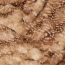 Throw "Zephy" Caramel brown, 160x120 cm Caramel brown