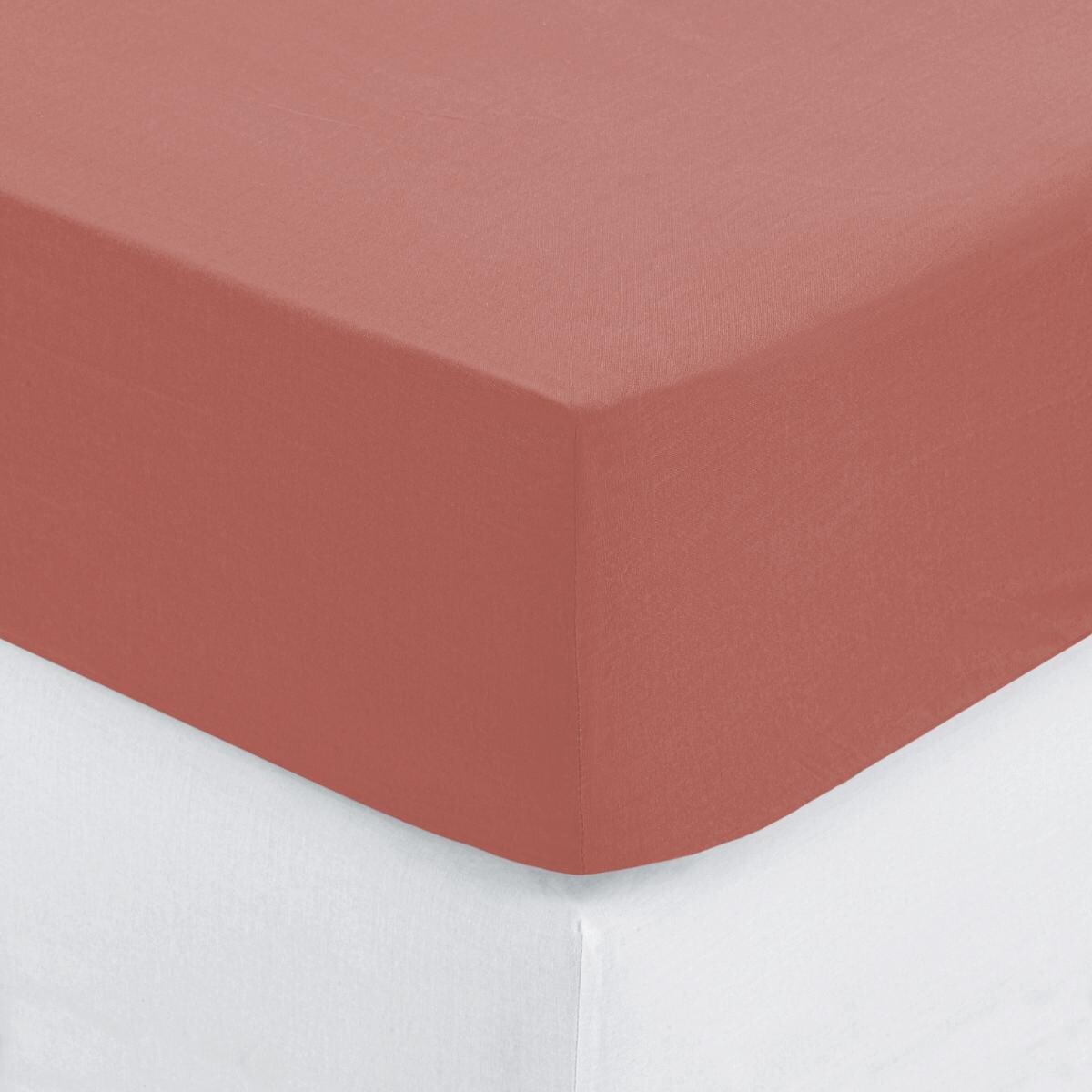 Fitted sheet, cotton Rose blush, 90x190 cm Blush pink
