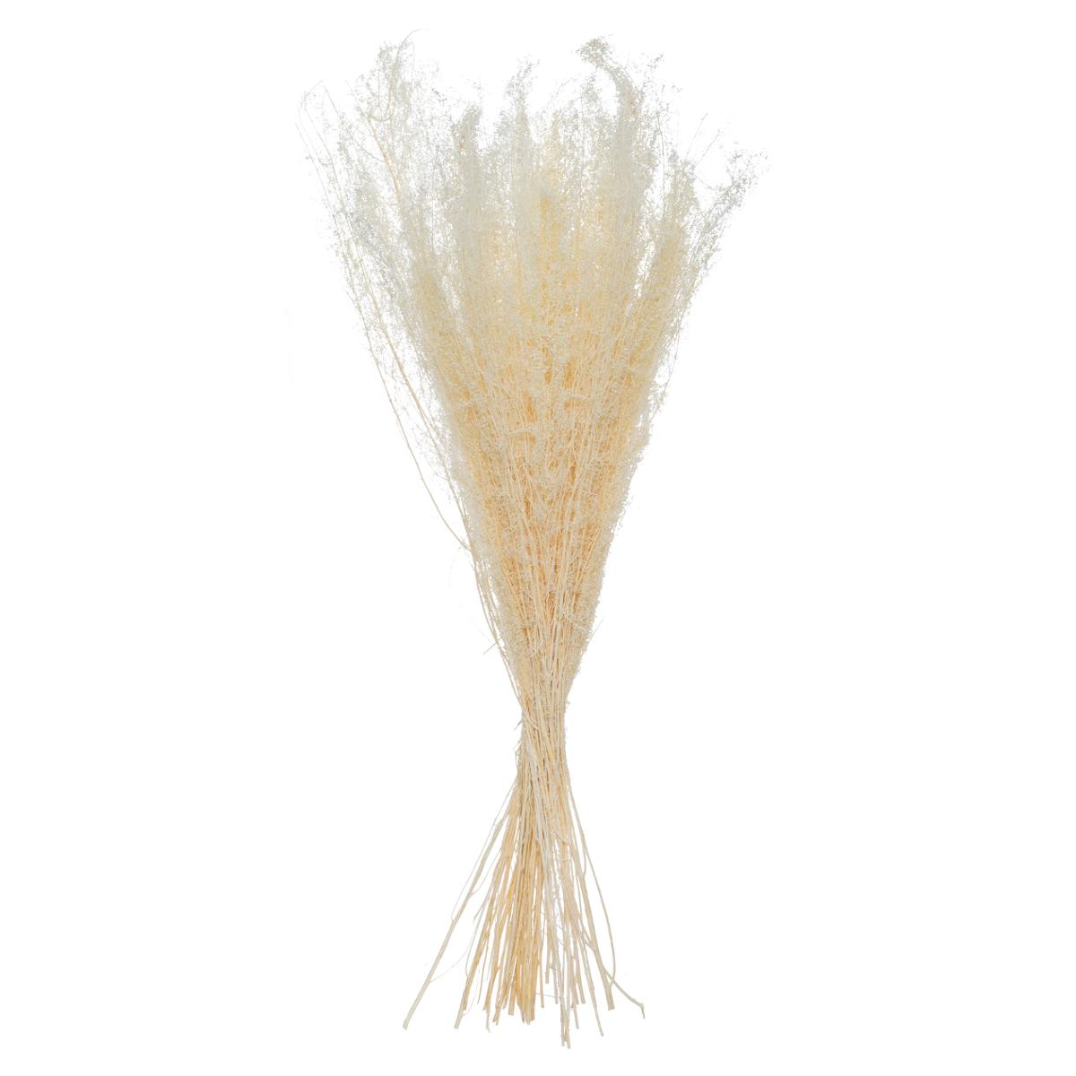 Dried flower bouquet H.78 cm Model 4