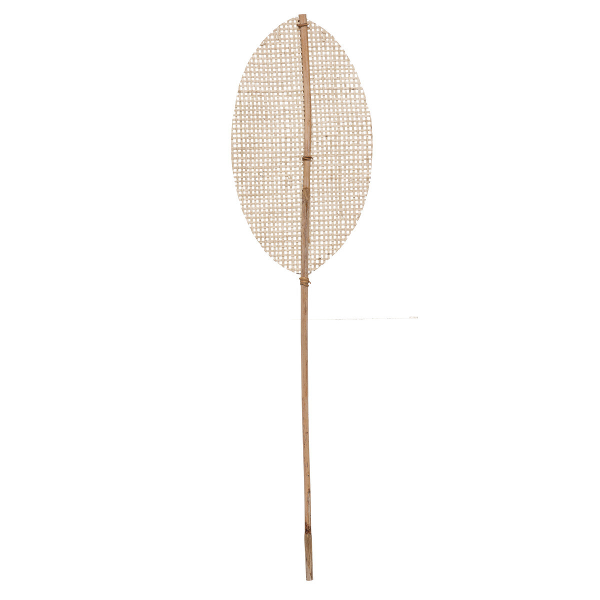 Natural Stem "Carmen" Bamboo, H.78 cm Model 1