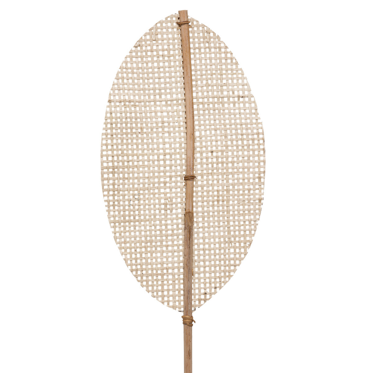Natural Stem "Carmen" Bamboo, H.78 cm Model 1
