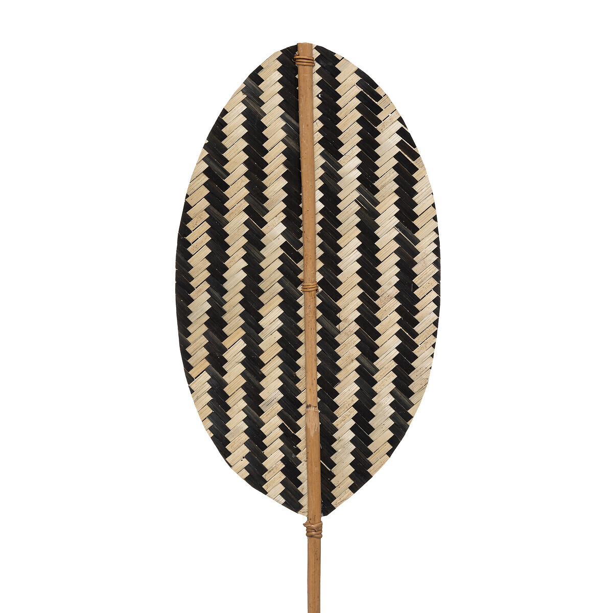 Natural Stem "Tropics" Bamboo, H.78 cm Model 1