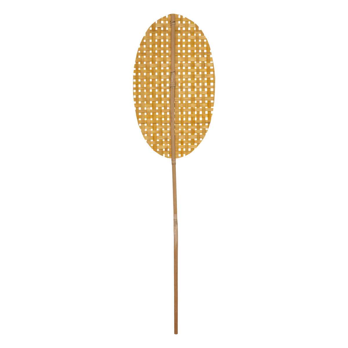 Natural Stem "Tropics" Bamboo, H.78 cm Model 1
