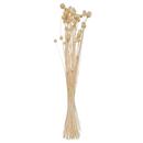 Dried flower bouquet H.78 cm Model 4