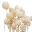 Dried flower bouquet H.78 cm Model 4
