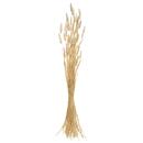 Dried flower bouquet H.78 cm Model 4