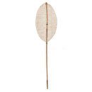 Natural Stem "Carmen" Bamboo, H.78 cm Model 1