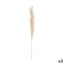 3 dried flowers "Natural Pampas" H.110 cm Ivory white