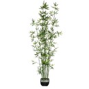 Artificial Bamboo Ceramic pot, H.180 cm Green