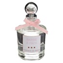 Gift Box "Carousel" Cage D.13 cm Cotton candy