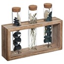3 tubes of dried flowers "House" H.17 cm Pink