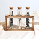 3 tubes of dried flowers "House" H.17 cm Pink