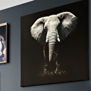 "Animals" Printed Canvas 100x100 cm Black and white