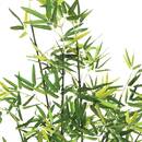 Artificial Bamboo H.122 cm Green