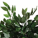 Artificial Ficus Green, H.120 cm Green