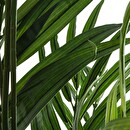 Artificial Areca Palm H.230 cm Green