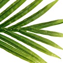 Artificial Palm Tree H.170 cm Green