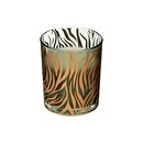 Gift Box Cage "Jungle" D.13.5 cm Exotic vanilla