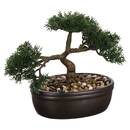 Artificial Bonsai Ceramic pot, H.23 cm Black