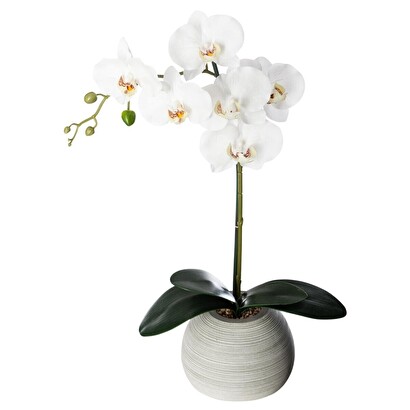 Artificial orchid h.53 cm