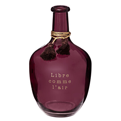 Plants, vases Demijohn