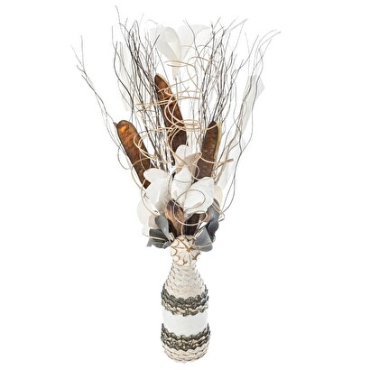 Plants, vases