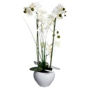 Artificial Orchid Ceramic Vase, White, H.53 cm White
