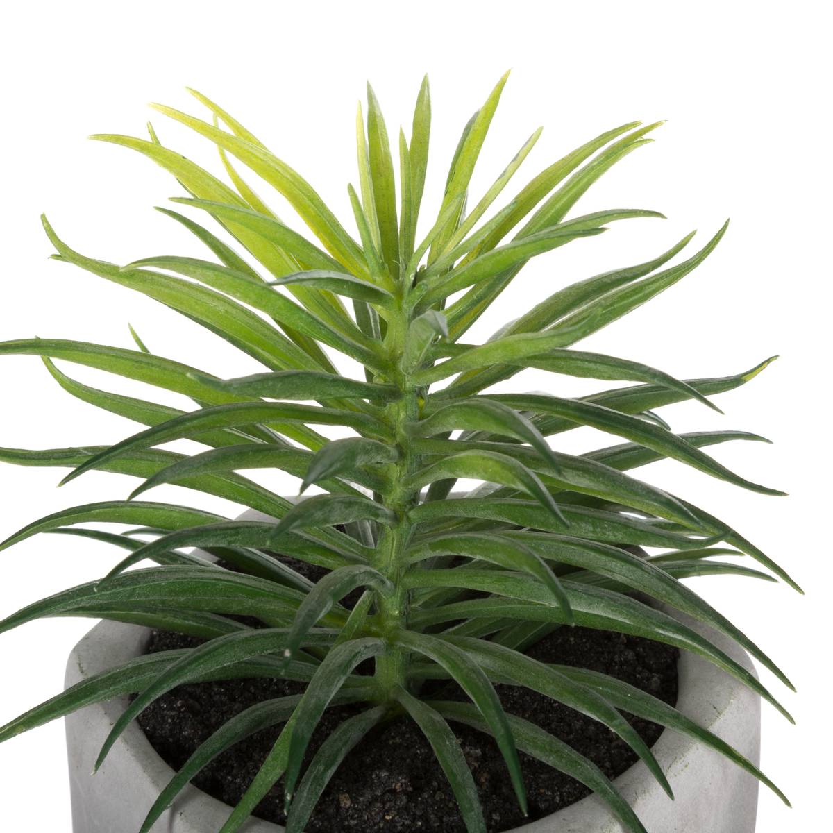 Artificial Succulent H.14 cm Model 1