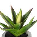 Artificial Succulent H.14 cm Model 1
