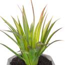 Artificial Succulent H.14 cm Model 1
