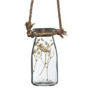 Hanging lamp with 4 dried flowers Glass vase, H.45 cm Multicolored